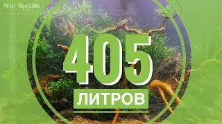 Новый проект. Аквариум 405 литров.