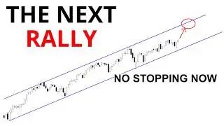 Technical Analysis of Stocks: SPY / QQQ / NVDA / TSLA / AMD / PLTR / ARM / HOOD