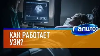 Галилео 😷 Как работает УЗИ?