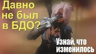 Давно не заходил в BDO? Узнай , что изменилось в игре