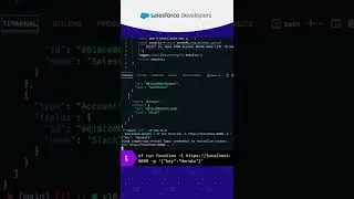 Salesforce Functions - Invoke a Salesforce Function Locally 