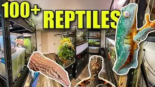 MASSIVE REPTILE ROOM TOUR December 2021!! | 100+ REPTILES!!