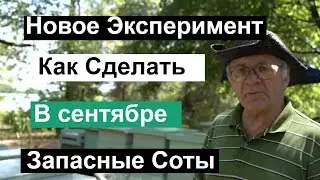 Пасека 