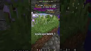 SKYBLOCK Sunucumdaki Oyuncu ile OYNADIM!  