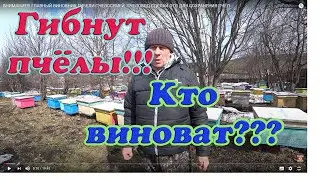ВНИМАНИЕ!!! ГЛАВНЫЙ ВИНОВНИК ГИБЕЛИ ПЧЕЛОСЕМЕЙ, ПЧЕЛОВОД СДЕЛАЙ ЭТО ДЛЯ СОХРАНЕНИЯ ПЧЁЛ