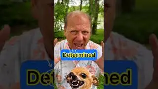 How do you say Determined?