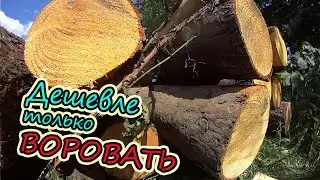 Деревенские хлопоты // Заготовка дров // Самый дешевый способ // Семья Лях