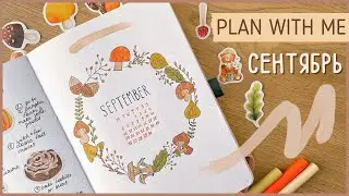 ЕЖЕДНЕВНИК СЕНТЯБРЬ 2022 | BULLET JOURNAL | Буллет джорнал | Оформление ежедневника🍄