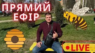Прямий Ефір 07.04.2024✅ Розіграш  🐝