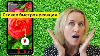Sticker fast reaction in stories/updates in Instagram