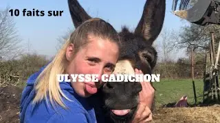 {10 faits} sur Ulysse Cadichon