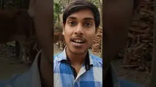 পাছায় লাথি দিয়ে বের করে দেবে.. মাধ্যমিক পরীক্ষায়! #madhyamik #hs #wbbse #wbchse