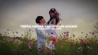 Tera Mera Hai Pyar Amar (Slowed + Reverb + Rain) Ahmed Jahanzeb | Ishq Murshid | OST | Ameen Fahim