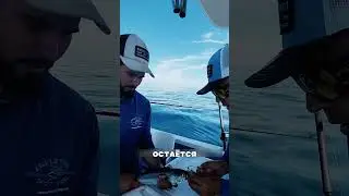 Поймал гиганта на ведро ТУХЛОЙ рыбы😨🔥🦈