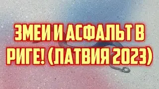 ЗМЕИ И АСФАЛЬТ В РИГЕ! (ЛАТВИЯ 2023) | КРИМИНАЛЬНАЯ ЛАТВИЯ