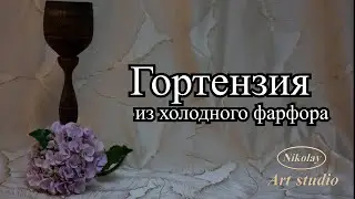 Гортензия
