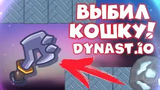 Играю в Династ! Выбил Кошку! | Dynast.io