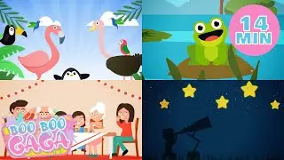 Birds Song + Amphibians Song + More Nursery Rhymes Songs by Boo Boo Gaga #booboogaga