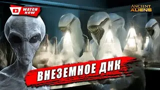 Инопланетные гены: ключ к разгадке происхождения жизни