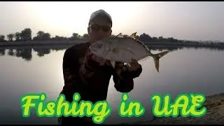Fishing in the UAE,  Fishing in Abu Dhabi , Got to the exit of a mad fish!