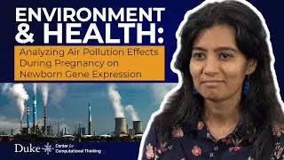 Environment & Health: Analyzing Air Pollution Effects During Pregnancy on Newborn Gene Expression