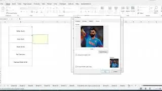 how to insert a picture into a cell in excel / how to insert a picture in excel cell,