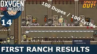 FIRST RANCHING RESULTS - Ep. 14 - Oxygen Not Included (100 Dupes / 100 Cycles Challenge)