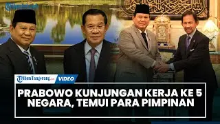 Prabowo Kunjungan Kerja Beruntun 5 Negara dalam 3 Hari, Temui Para Pimpinan Negara