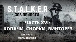 S.T.A.L.K.E.R - Зов Припяти SGM MOD 2.2 - Копачи, Снорки, Винторез