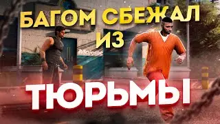 БАГОМ СБЕЖАЛ из ТЮРЬМЫ на ГТА 5 РП МАДЖЕСТИК / GTA 5 RP MAJESTIC / БУДНИ БОМЖА