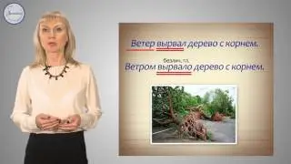 Русский 6 класс. Безличные глаголы
