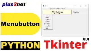 Options of Tkinter Menubutton linking to radio buttons & entry to configure state & textvariable