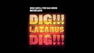 Nick Cave & The Bad Seeds - Moonland (Official Audio)