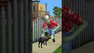 Cat lover  