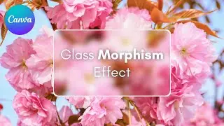 How to create glass morphism effect in canva