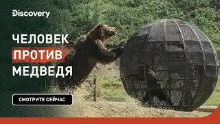 Кто король горы? | Человек против медведя | Discovery