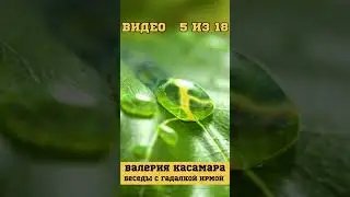 СЛИВ💦  Валерия Касамара с гадалкой Ирмой. [5/18]