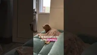 КАМЕРА-РОБОТ СПАСЛА МНЕ ЖИЗНЬ 😧 