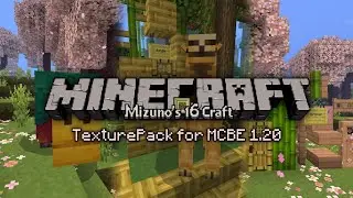 MCPE aesthetic TexturePack 1.20 Mizuno 16 Craft