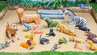 Muddy Toys Get CLEANED Epic African Safari Adventure!