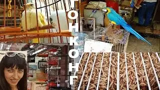 Гонконг, Птичий Рынок, Коулун