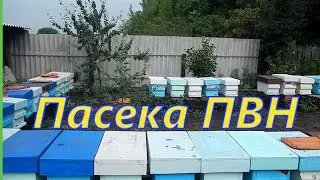 Слабыши в шестирамочниках