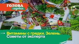 Голова садовая - Витамины с грядки. Зелень. Советы от эксперта