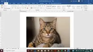 How to write text on image in Microsoft word document?