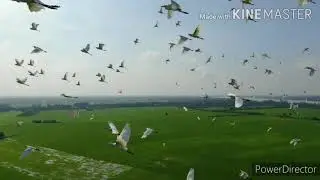 The most beautiful sights