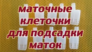 Маточные клеточки для приёма маточек с Алиэкспресс. Beekeeping.