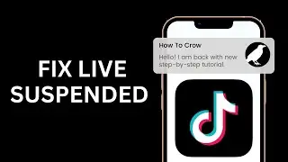 How to Fix Live Suspended on TikTok