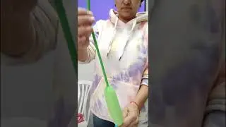 Как сделать цветок из длинного воздушного шара ШДМ