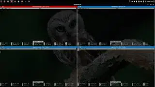 Terminator: how I update multiple servers at one time | Linux quick tutorial