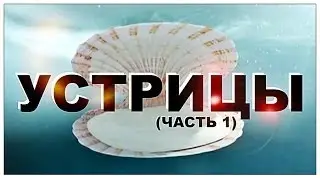 Галилео. Устрицы (часть 1)